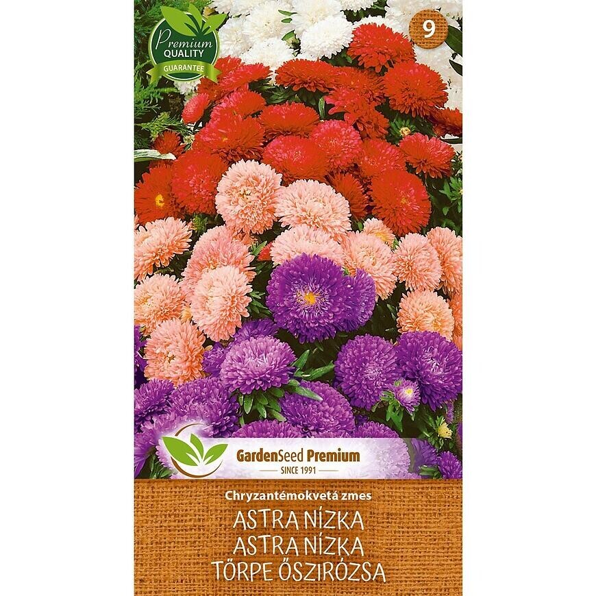 Zmes kvetov nízkej chryzantémy Astra