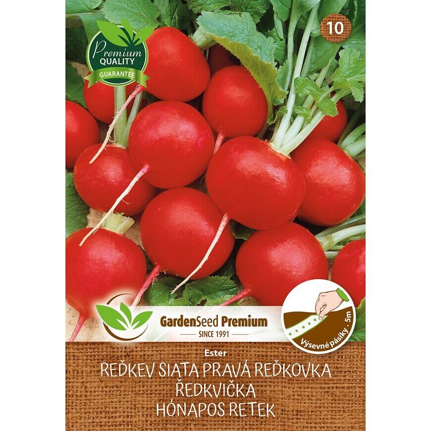 Reďkovka Ester - výsevný pásik 5 m