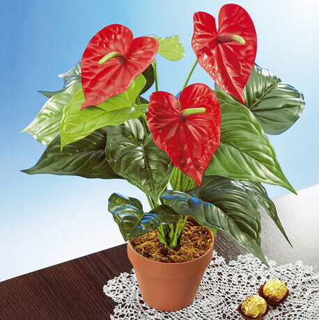 Umelý kvet - Anthurium / Flamingo