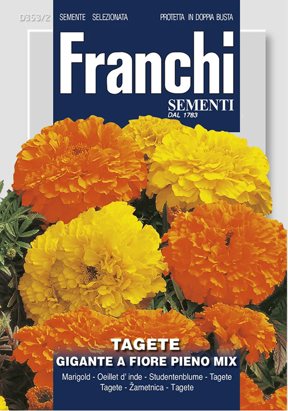 Franchi Aksamietnica vzpriamená obrovská plnokvetá mix farieb