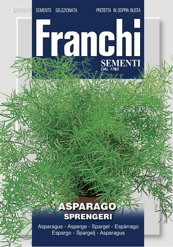 Franchi Asparagus SPRENGERI