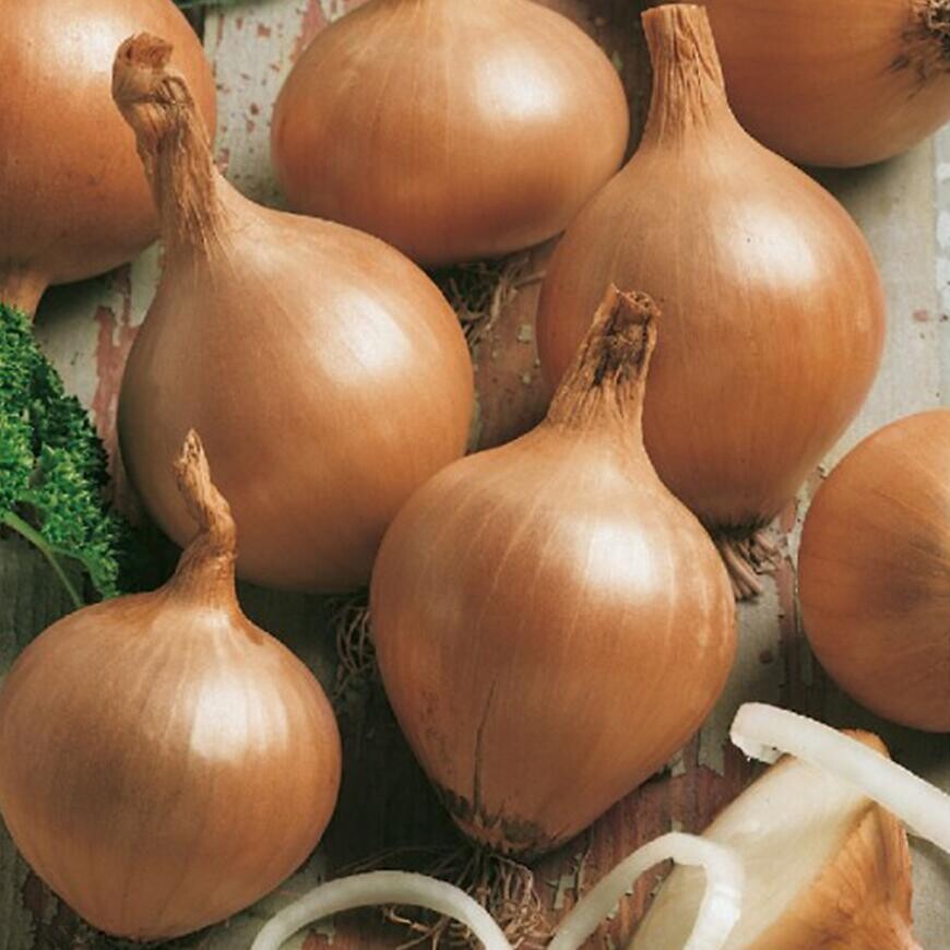 Cibuľa všetana 300g /8-21mm/ žltá