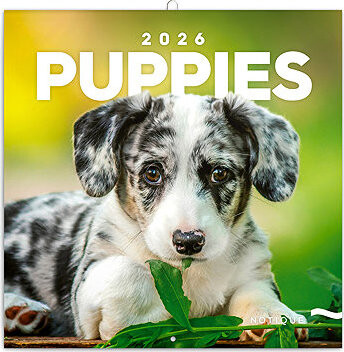 NOTIQUE Štence 2026 poznámkový, 30 × 30 cm