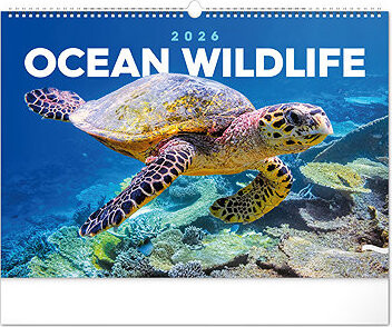 NOTIQUE Podmorský svet 2026, 48 × 33 cm