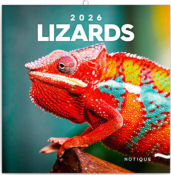 NOTIQUE Jaštery 2026 poznámkový, 30 × 30 cm