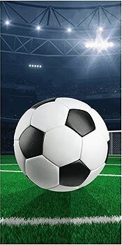 Jerry Fabrics Osuška Fotbalový stadion 70 × 140 cm