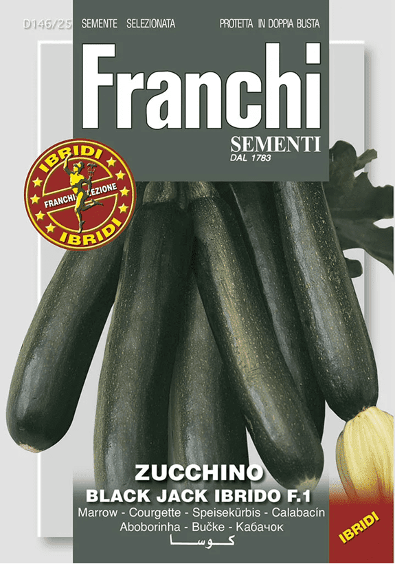 Franchi Cuketa DYNASTY F1