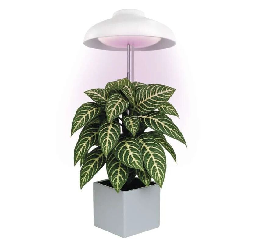 EMOS Biela LED pestovateľská lampička 5W Z7901