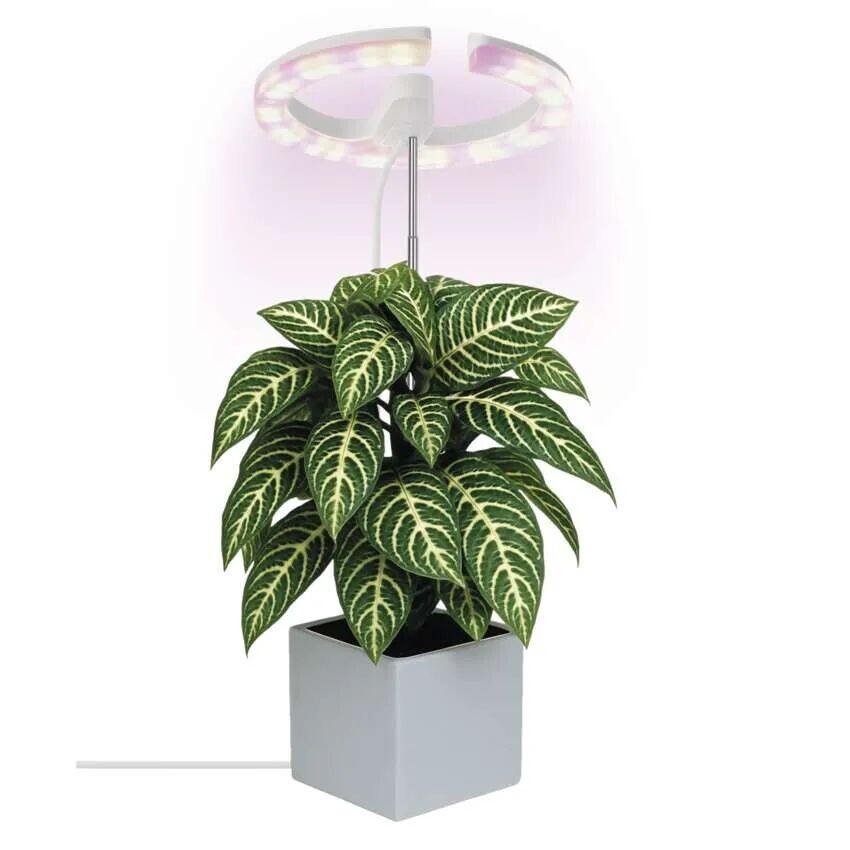EMOS Biela LED pestovateľská lampička 8W stmievateľná Z7902