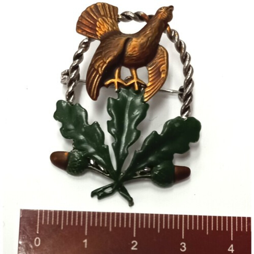 Odznak Tetrov a kruh - farebný