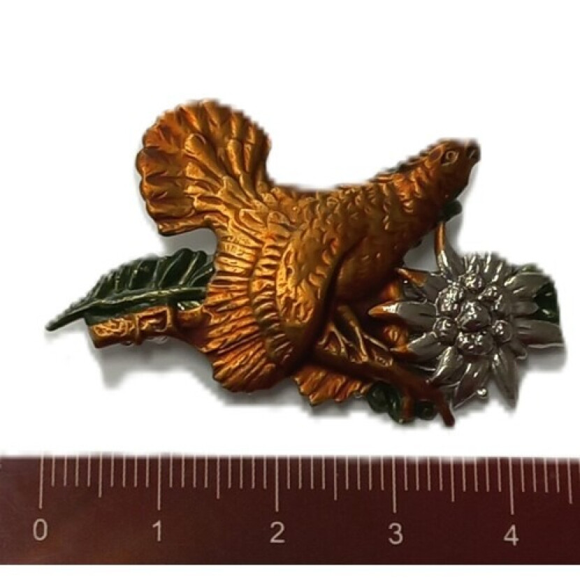 Odznak Tetrov a veľká prieťaž - farebný