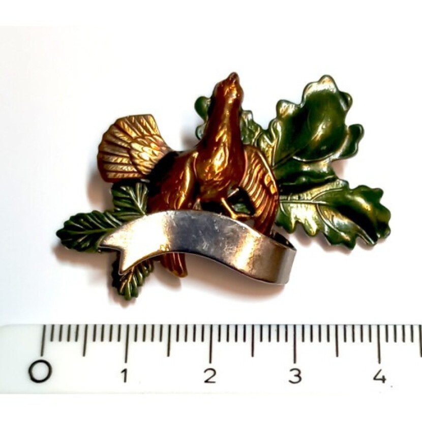 Odznak Tetrov, stuha a dub - farebný