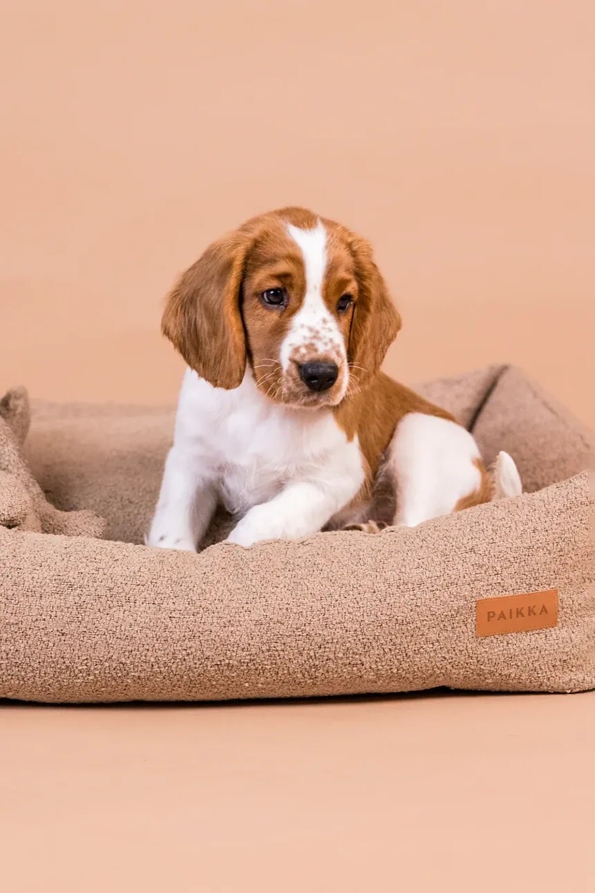 Pelech pre domáce zvieratá PAIKKA Bouclé 95 x 75 x 20 cm