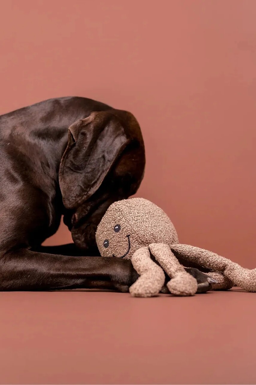 Hračka pre psa PAIKKA Bouclé Octopus 35 cm