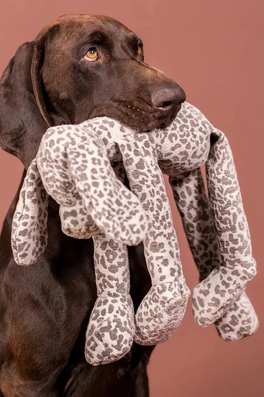 Hračka pre psa PAIKKA Stone Leo 50 cm