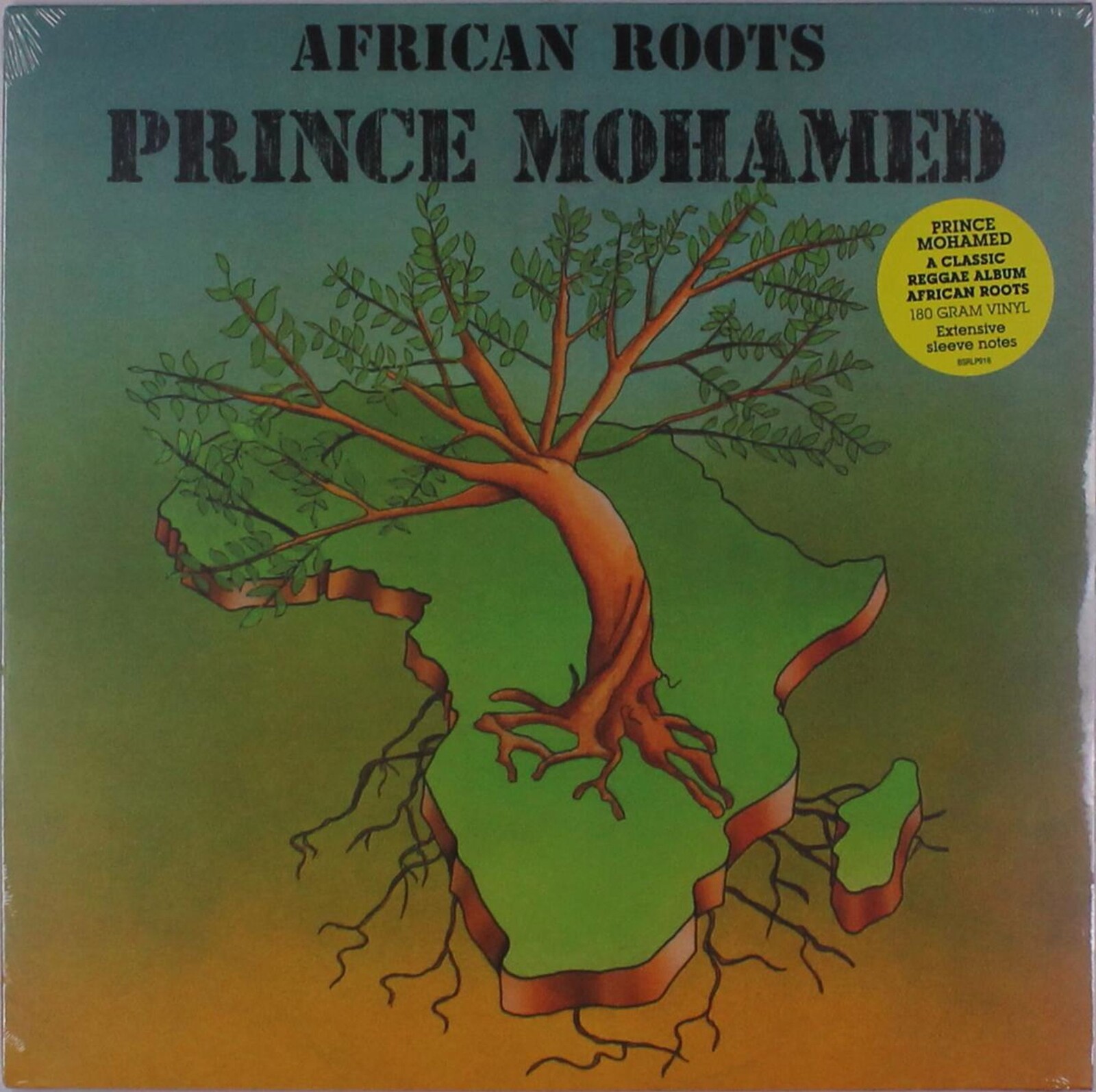 AFRICAN ROOTS