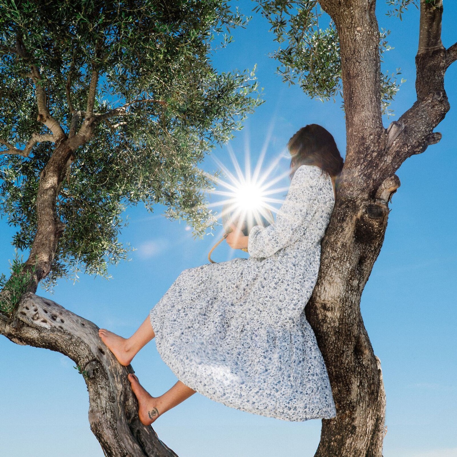 LITTLE MISS SUNSHINE