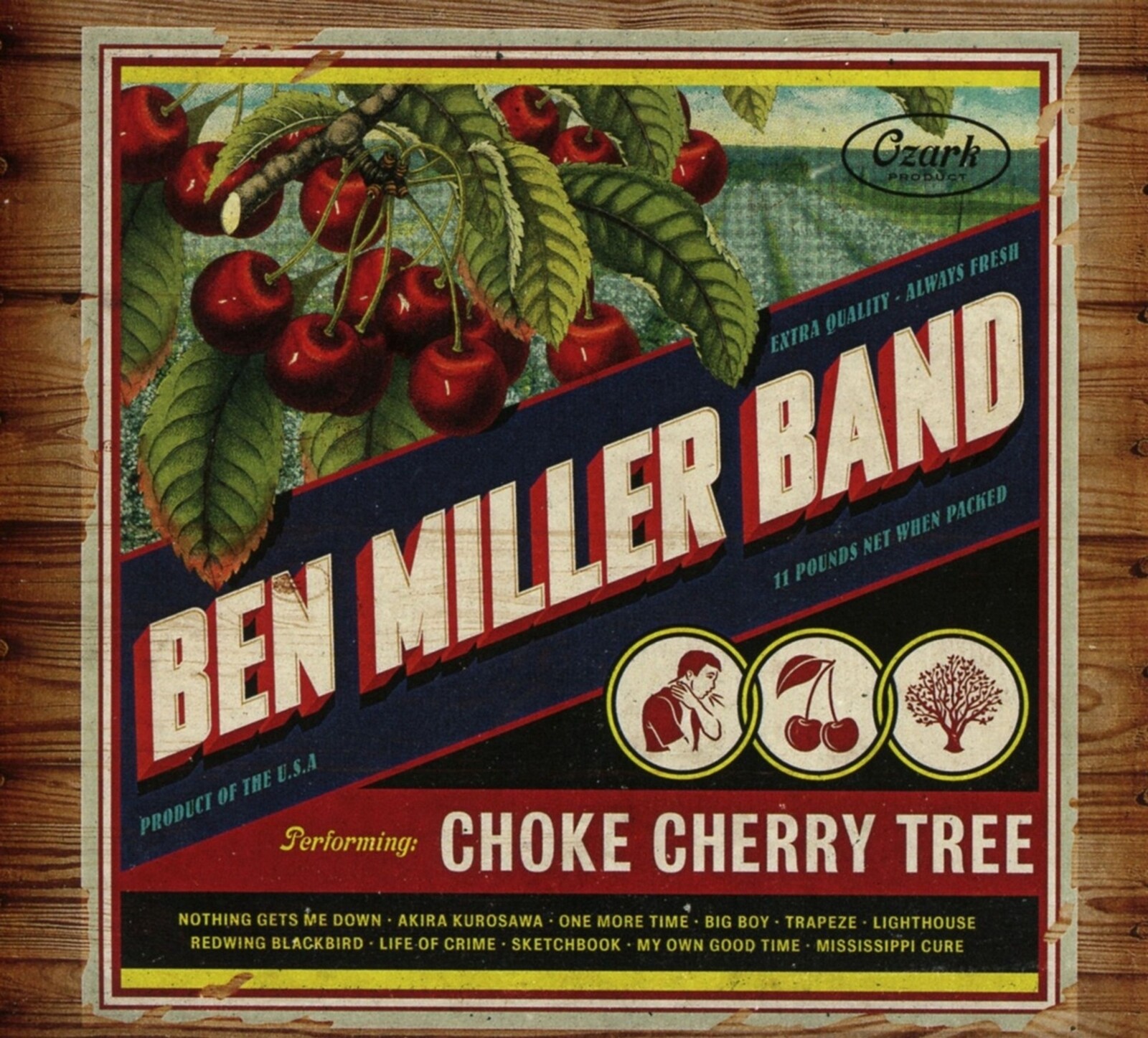 CHOKE CHERRY TREE