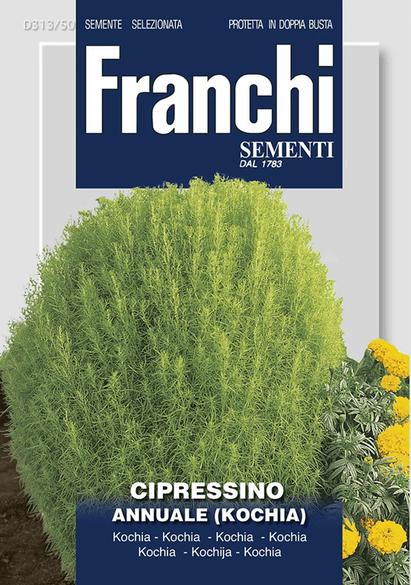 Franchi Cypruštek zelený KOCHIA