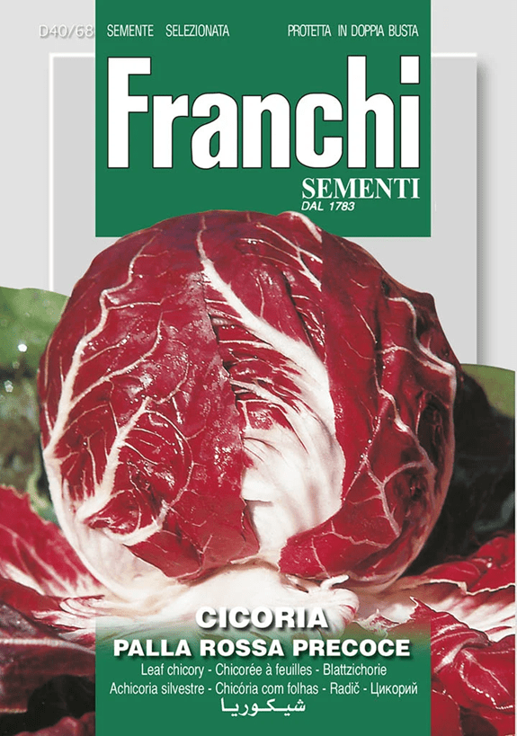 Franchi Čakanka PALLA ROSSA skorá