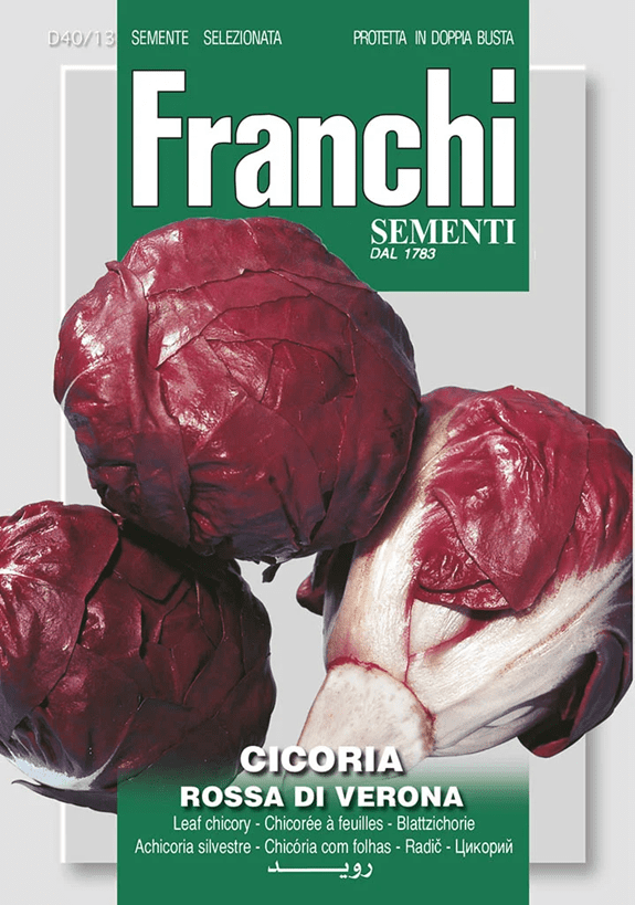 Franchi Čakanka ROSA DI VERONA