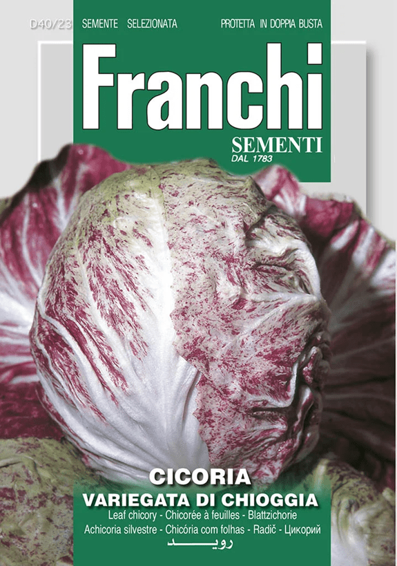 Franchi Čakanka VARIEGATA DI CHIOGGIA