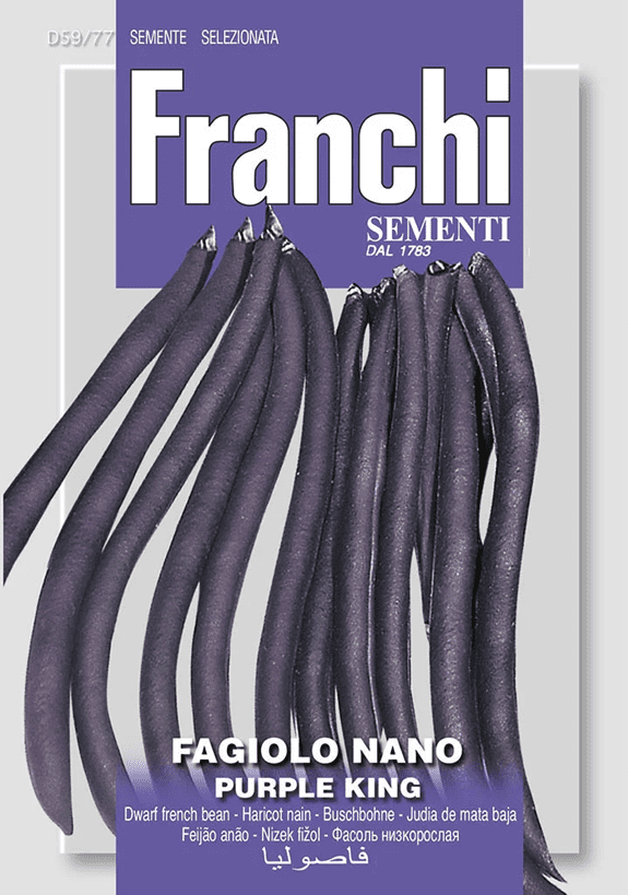 Franchi Fazuľa nízka PURPLE KING