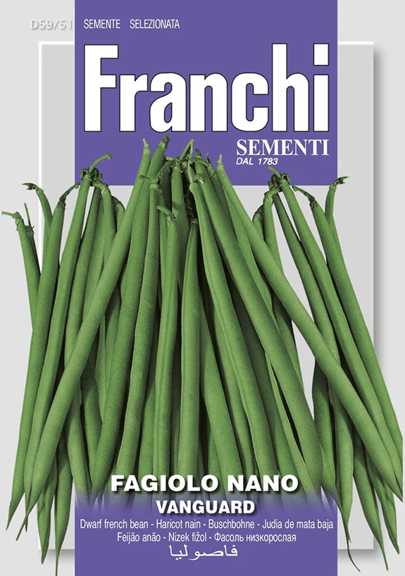 Franchi Fazuľa nízka VANGUARD