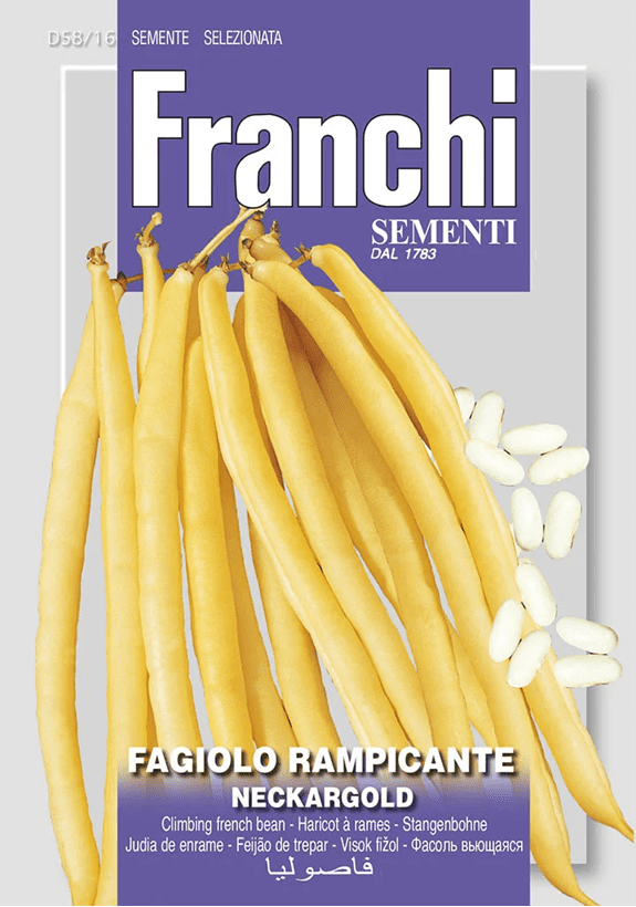Franchi Fazuľa ťahavá NECKARGOLD