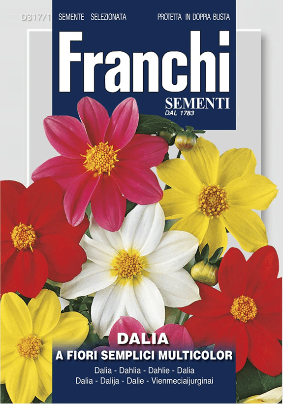 Franchi Georgína premenlivá ZMES