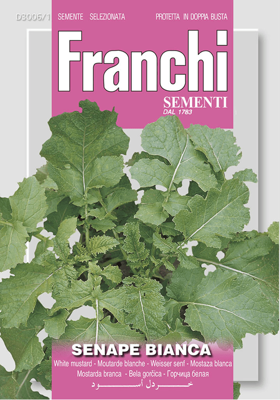 Franchi Horčica biela BIANCA