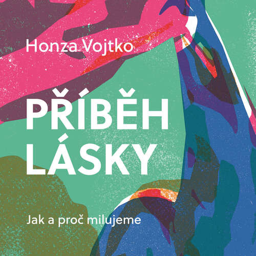 Příběh lásky - Honza Vojtko (mp3 audiokniha)
