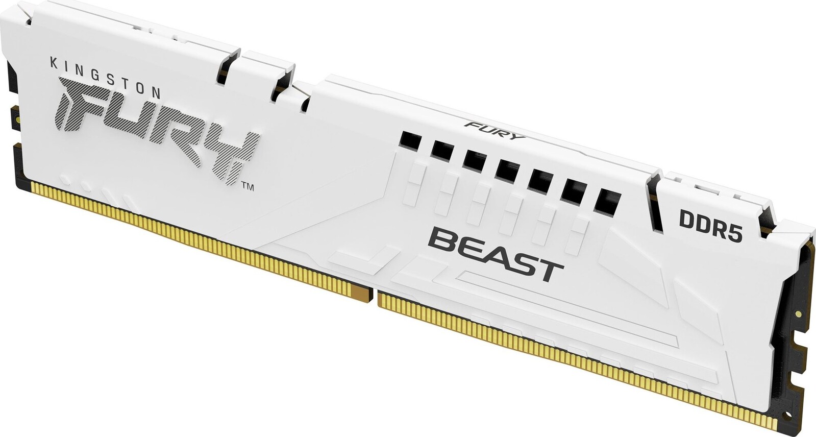 Kingston FURY 32 GB DDR5 5600 MHz CL36 Beast White EXPO