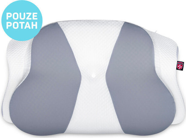 CONNECT IT FOR HEALTH Gemini