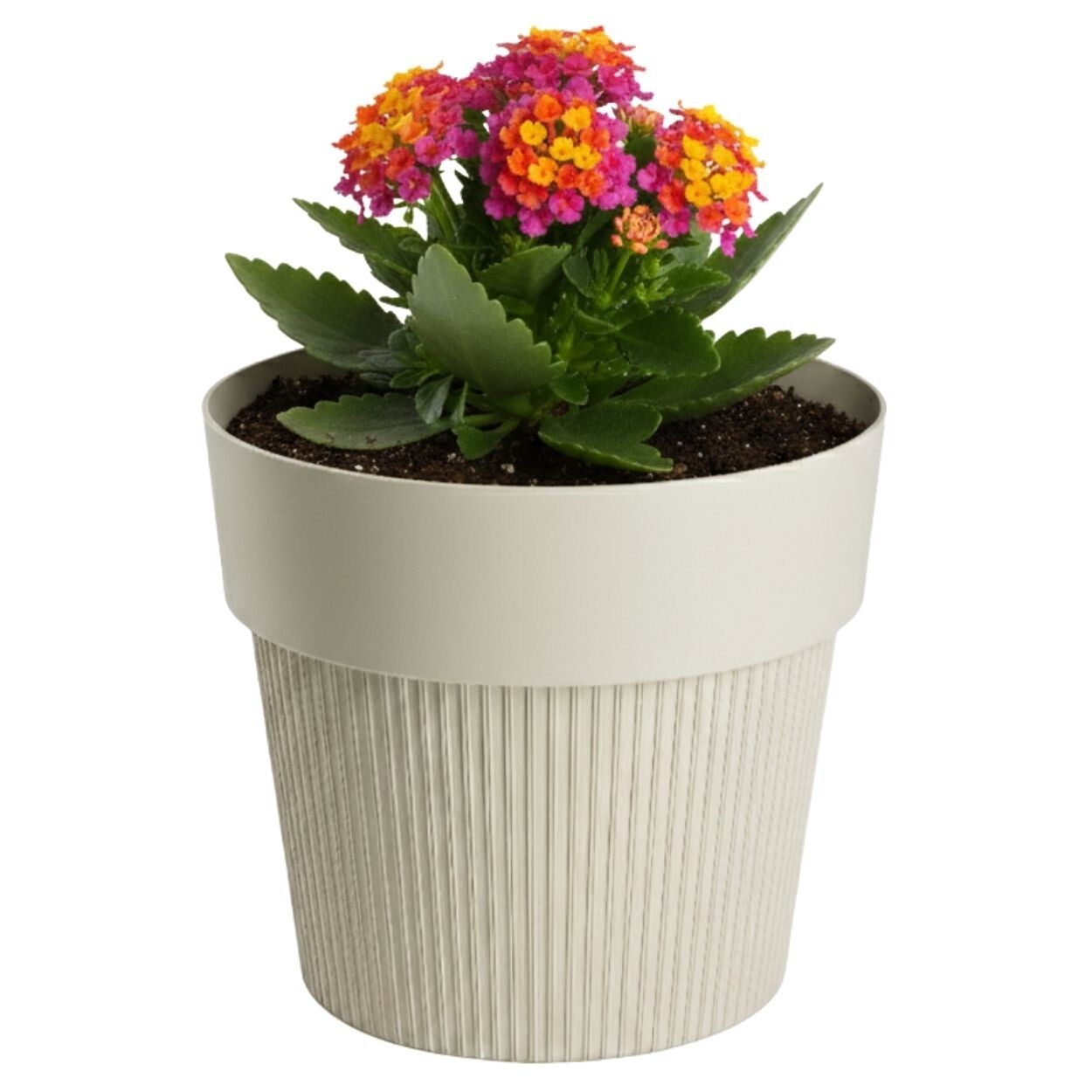 Květináč SILVA LINE 11,5x13,2 cm béžový