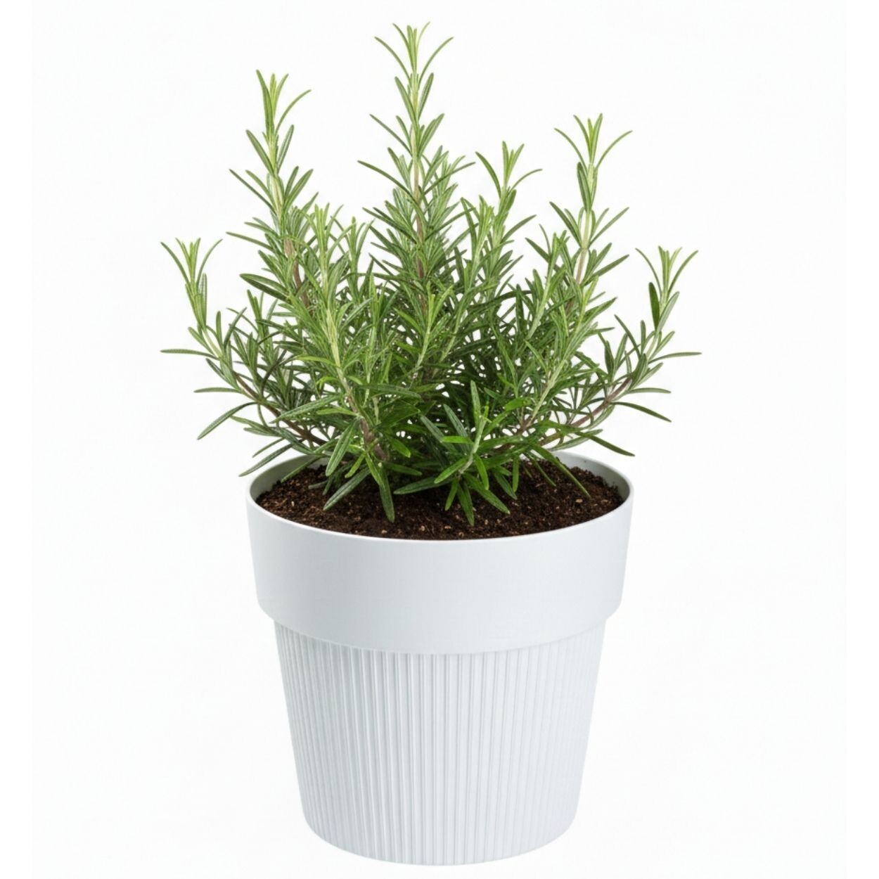 Květináč SILVA LINE 11,5x13,2 cm bílý