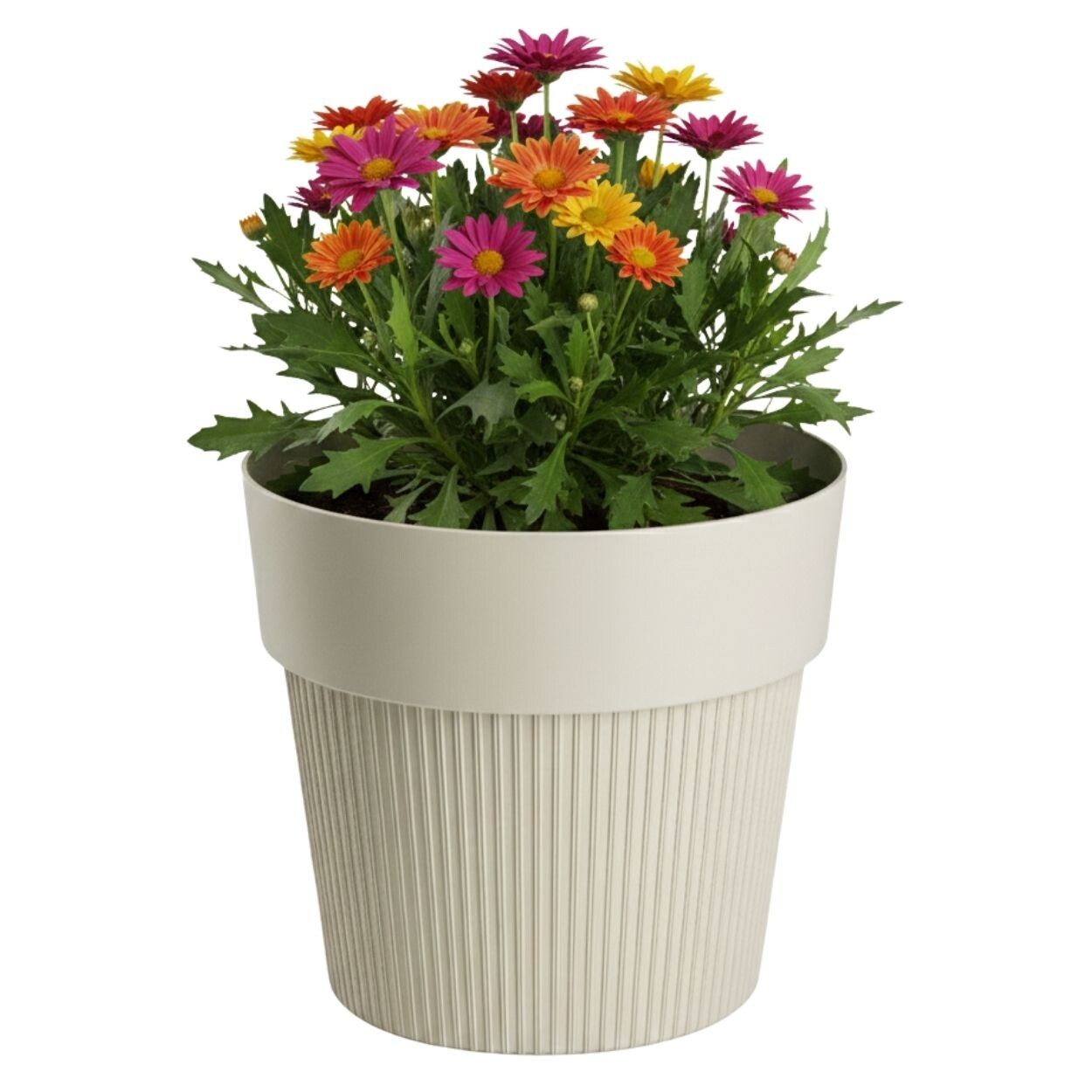 Květináč SILVA LINE 12,7x14,5 cm béžový