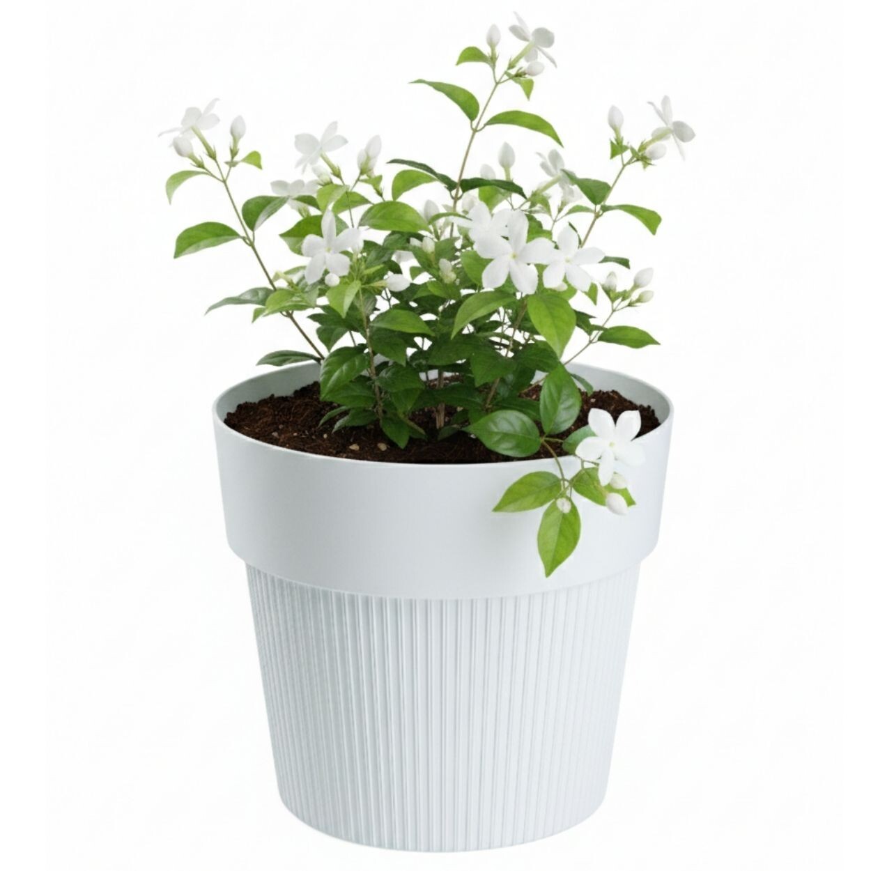 Květináč SILVA LINE 12,7x14,5 cm bílý