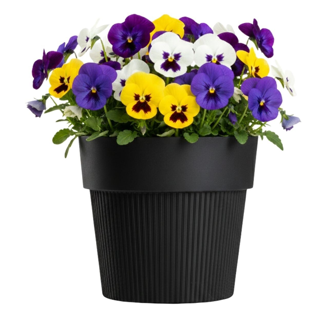 Květináč SILVA LINE 12,7x14,5 cm černý