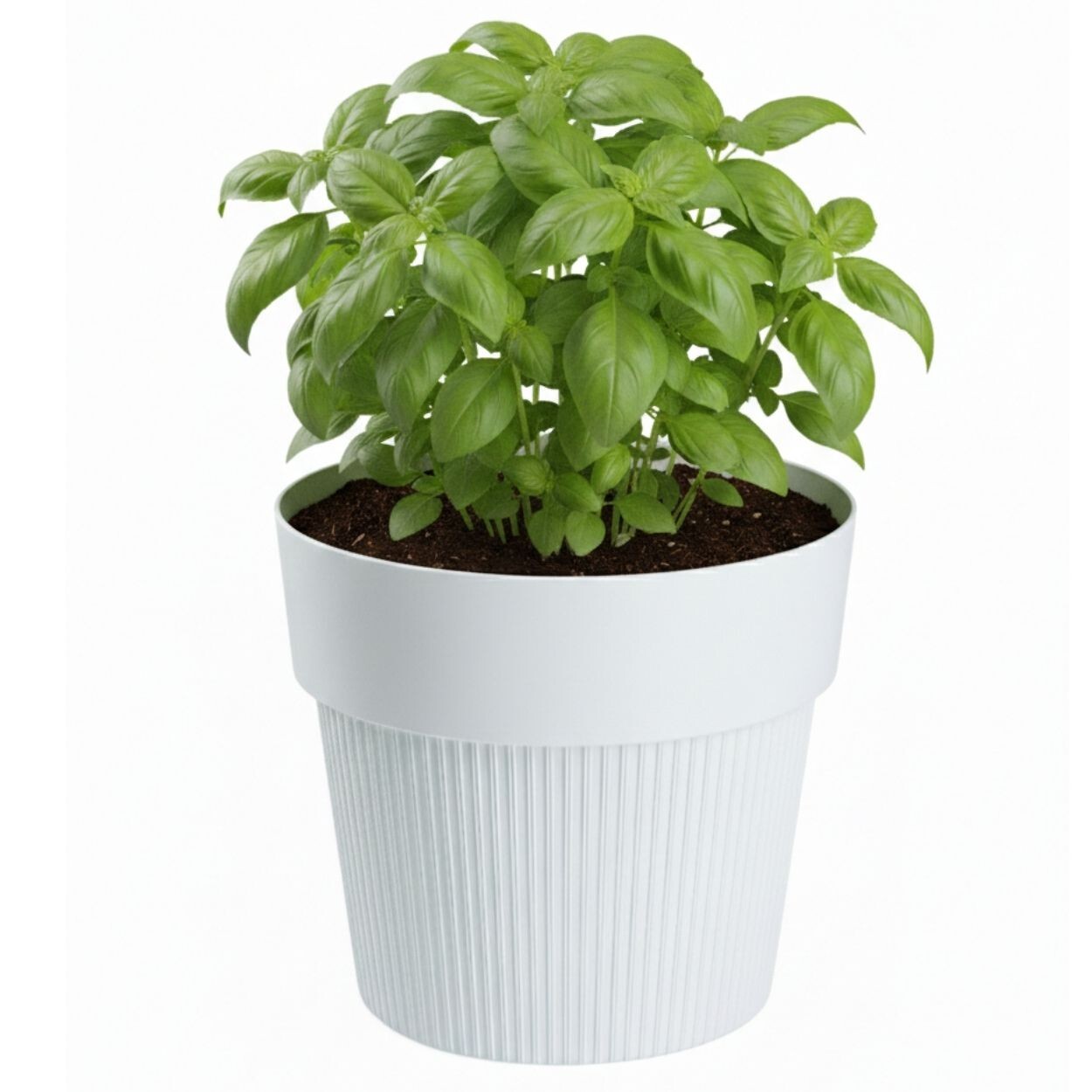 Květináč SILVA LINE 17,4x20 cm bílý