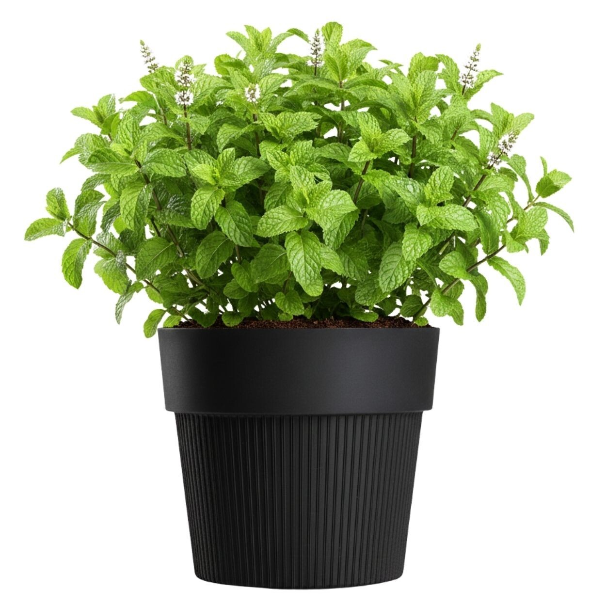 Květináč SILVA LINE 17,4x20 cm černý