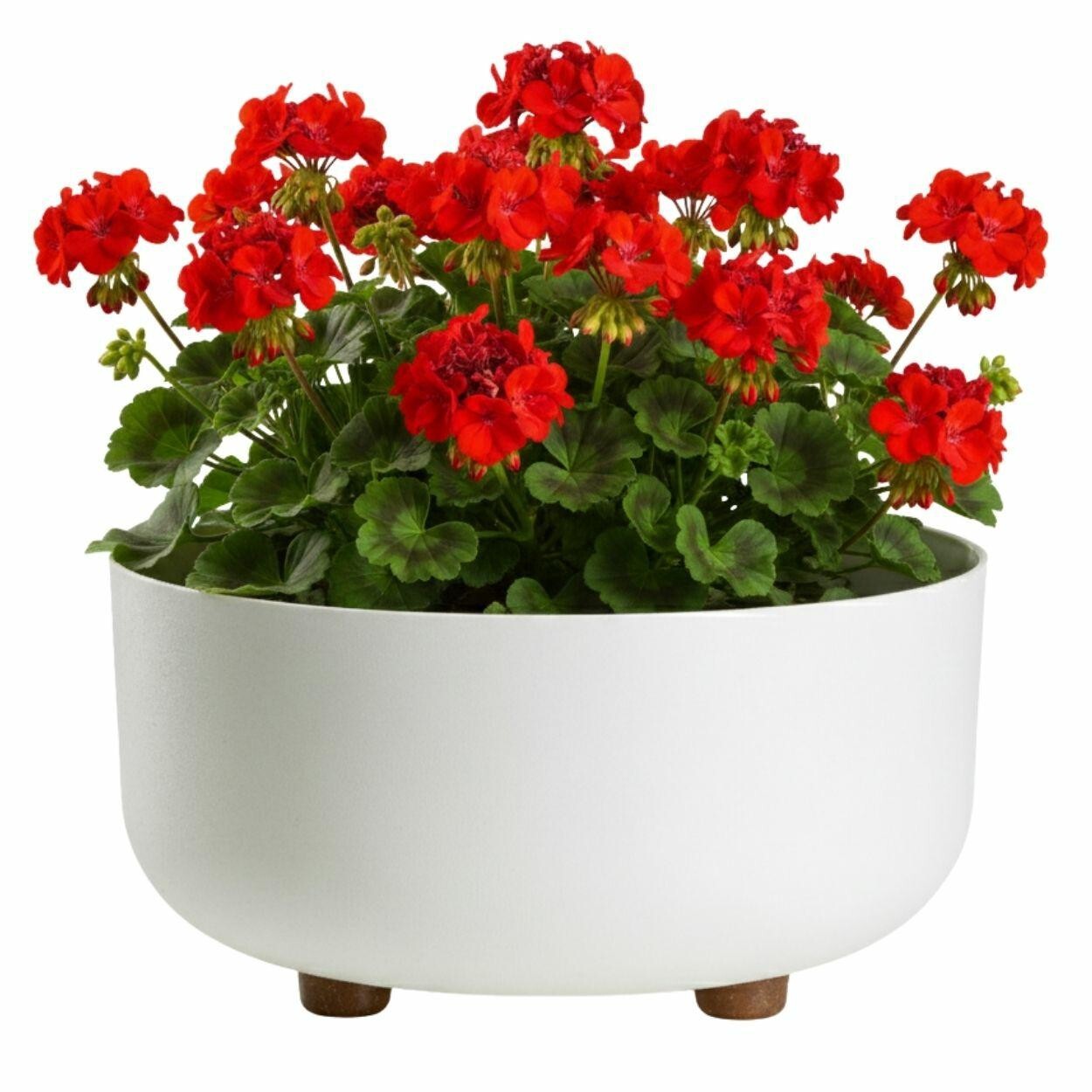 Plastový květináč na nožičkách TERRA 14,4x29,7 cm krémový