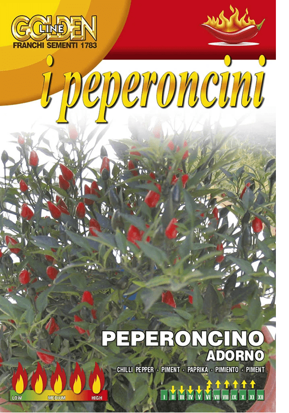 Franchi Chilli ADORNO