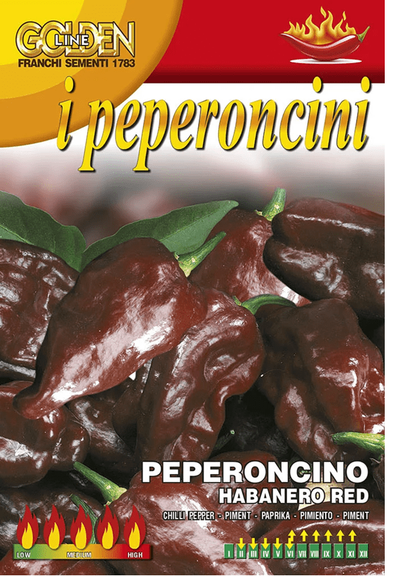 Franchi Chilli HABANERO CHOCOLATE