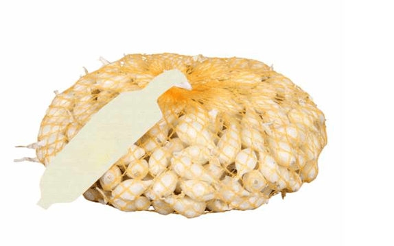 Cibuľa sadzačka biela WHITE GLOBE 250g