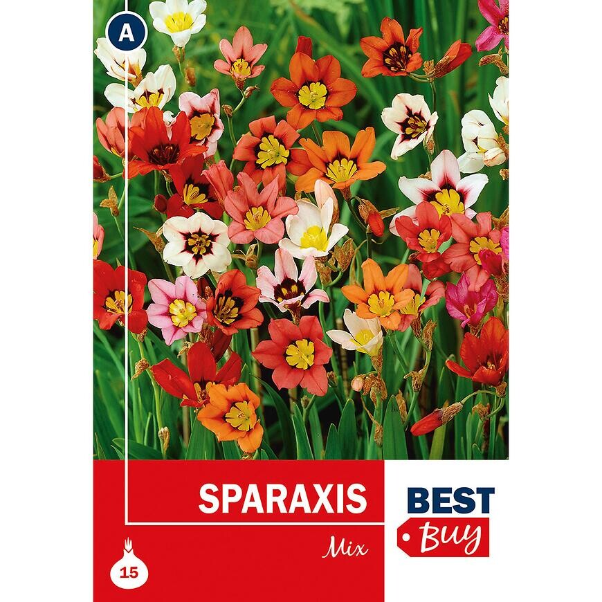Sparaxis  Mix