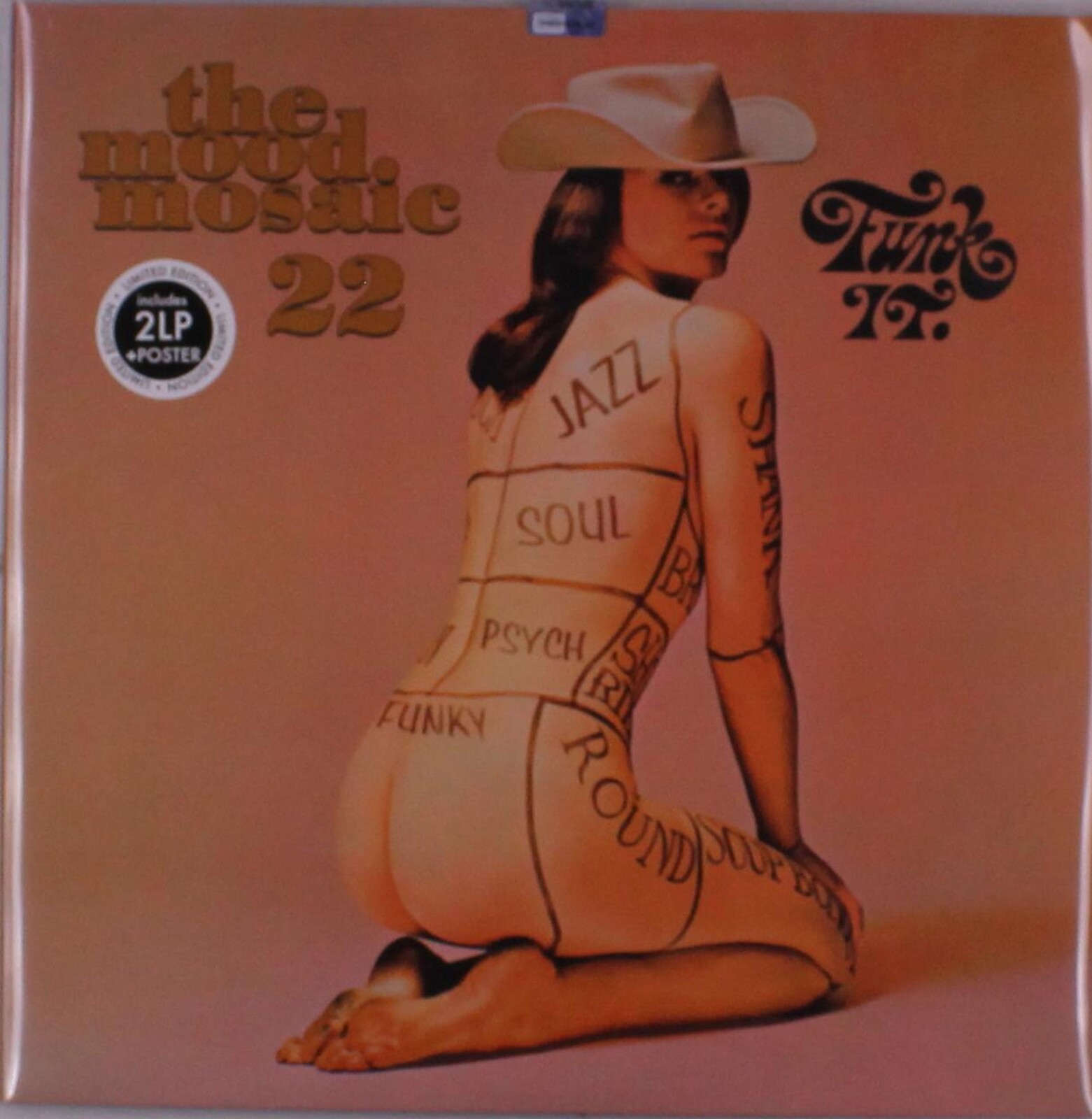 V/A - THE MOOD MOSAIC 22, Vinyl