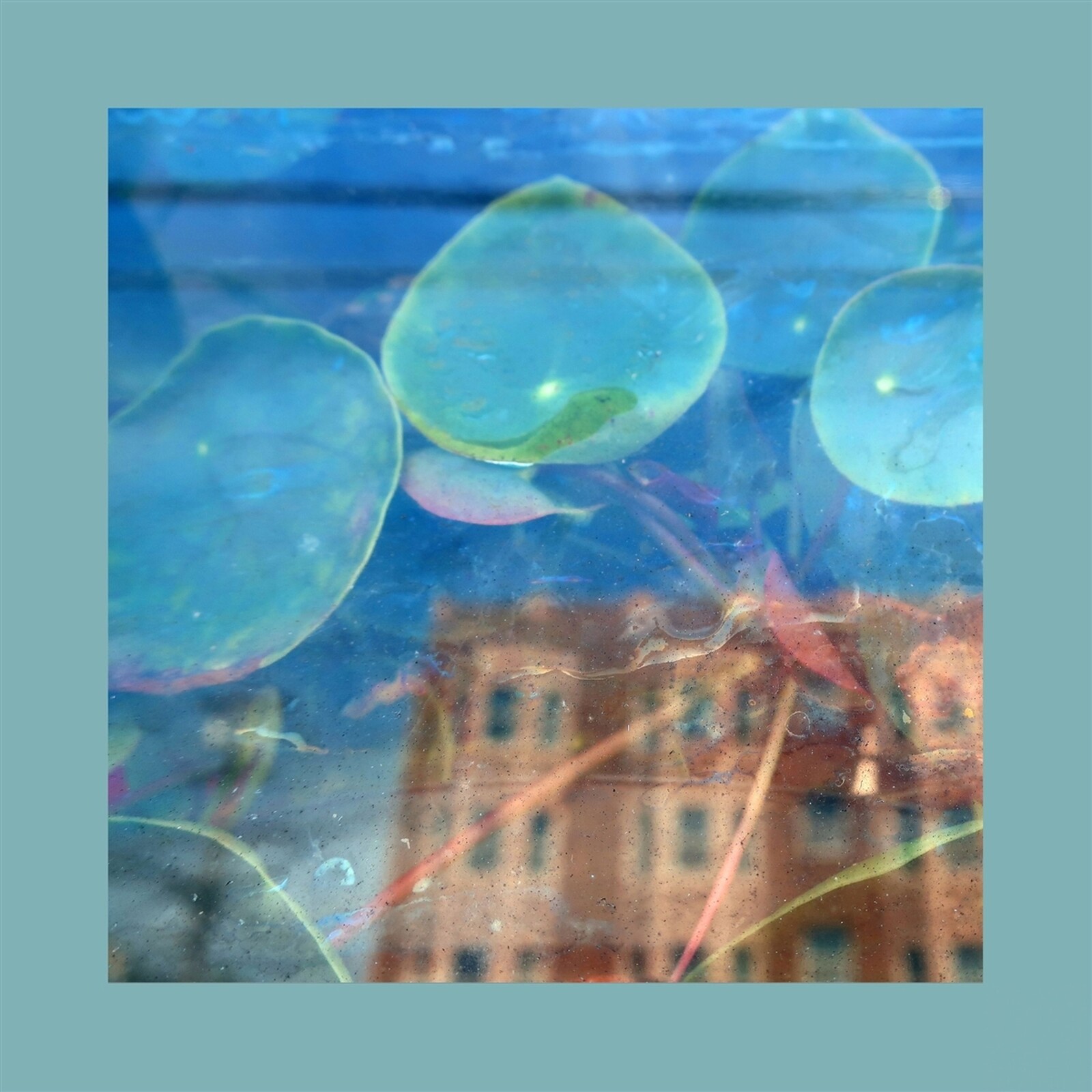 REDS, PINKS & PURPLES - ACKNOWLEDGE KINDNESS, CD