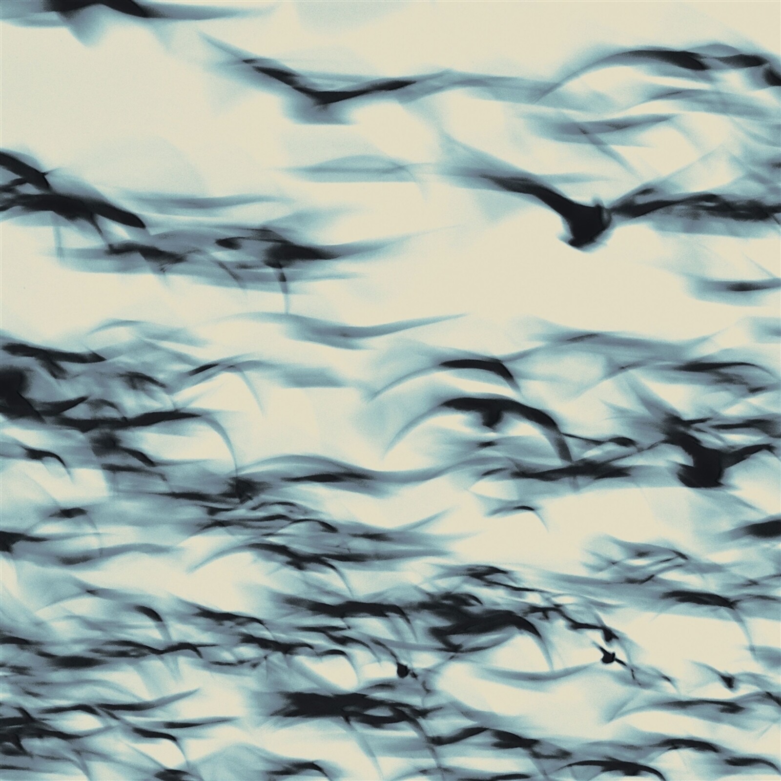 BELLBIRD - THE CALL, CD