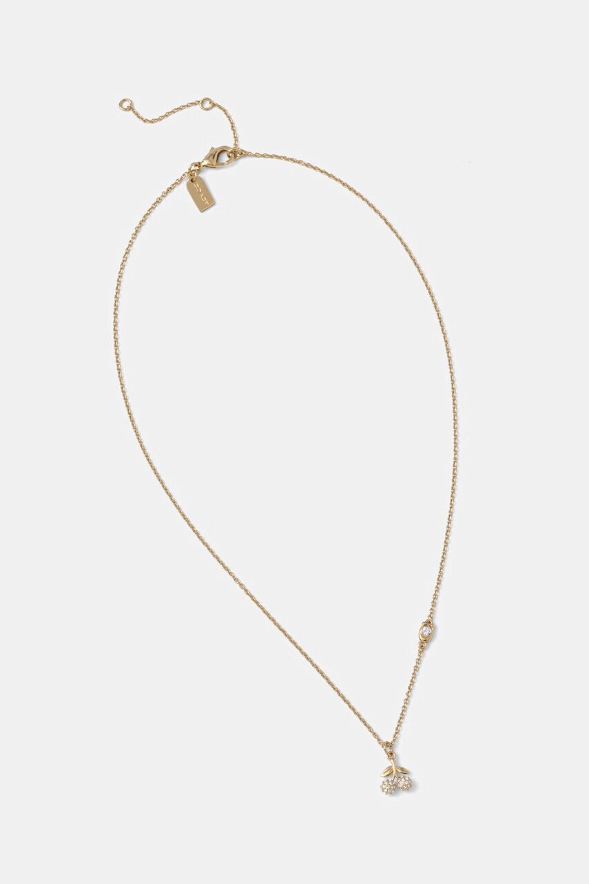 Coach Náhrdelník dámsky kovový s kryštálom